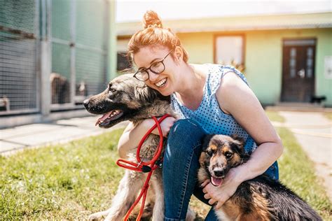 shelter care pet insurance.